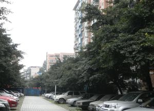 蔚蓝天地一期1室1厅西