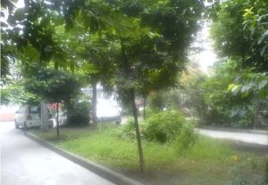 战旗东路7号 2室1厅 南