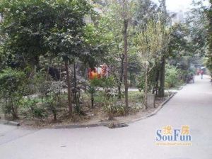 战旗东路7号 2室1厅 南