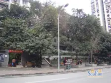 大坪 电信小区(渝中)三房