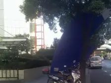 虹桥·锦明大厦·2室·2厅