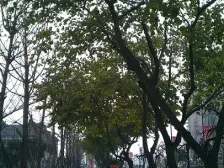 小区环境优美,住家安静,出行方便,生活便利