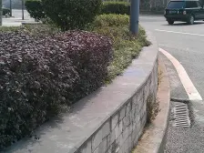 鱼洞 世纪金源御府三房72万