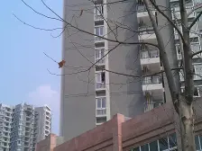 鱼洞 世纪金源御府三房65万