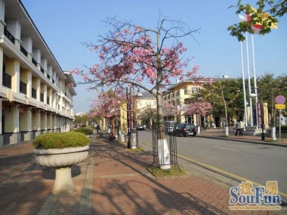 东方夏湾拿别墅实景图
