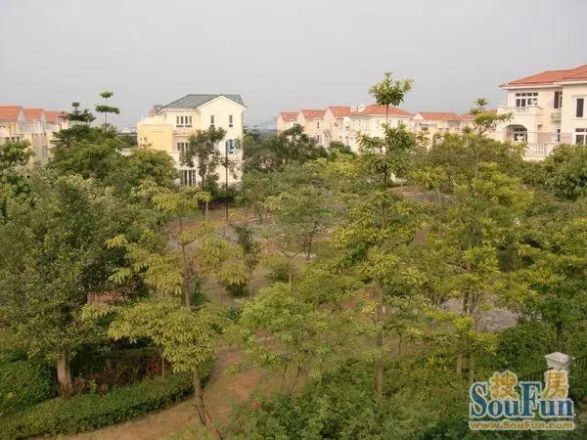 东方夏湾拿别墅实景图