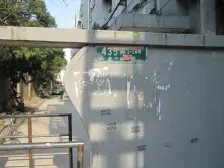 电梯,全明户型,视野开阔,没有遮挡,诚意出售