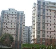 天山·知雅园·1室·1厅