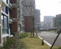 近2号线,低总价电梯一房,楼层好,采光好,税少,诚意卖,可谈