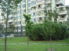 徐汇滨江 (绿邑新苑)南北通透 电梯洋房 满五年税少