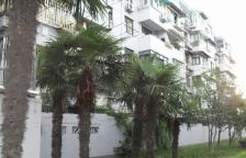 龙华·华龙新苑·2室·1厅