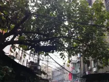 解放碑,位置好 出行方便 户型方正 采光无遮挡