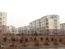 锦城西园 2室1厅 南 北