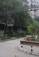 红光小区(成华)2室1厅东南