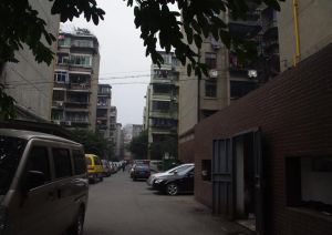 红光小区(成华)2室0厅南