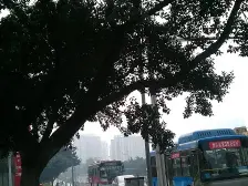 中新城上城 1室1厅 南 北