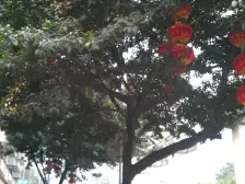 中新城上城 2室1厅 东南