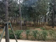 红岩旁边江景大三房,正对嘉陵江,高楼层看的远