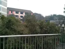 文化宫公园+住家安静+平街楼层+两路口轻轨