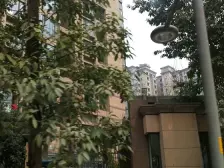 翡翠天麓 3室2厅 东北