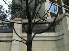 朝中庭 清水 跃层 居家安静 次新小区