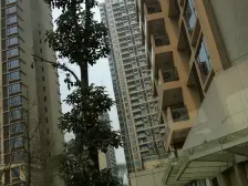 重庆天地 看陆海国际458米 视野好 看湖看江