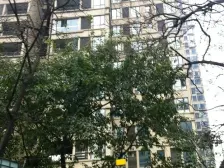 品质小区改善大三房,二次精装修可拎包入住,业主诚心