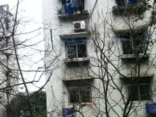 羊角堡小区 3室1厅 东南