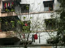 沙滨路 羊角堡小区一房