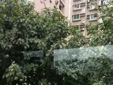 小龙坎 华宇龙泉大厦四房245万