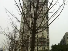 杨公桥 新城大厦(沙坪坝)一房36万