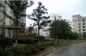 丽景华庭实景图