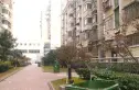 丽景华庭实景图