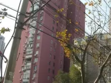 新华版块 直观华山绿地 开门见绿 视野开阔 看房方便