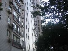 新华路·科达公寓·3室·2厅