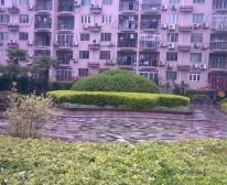 新华路·科达公寓·3室·2厅