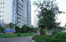 滨江,三轨交汇,自带会所,板式户型,三开间朝南