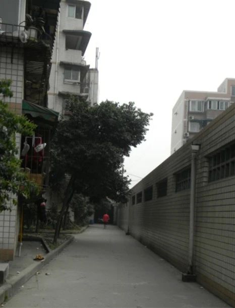 小区相关图