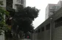 双顺路4号院实景图
