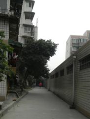 双顺路4号2室1厅南