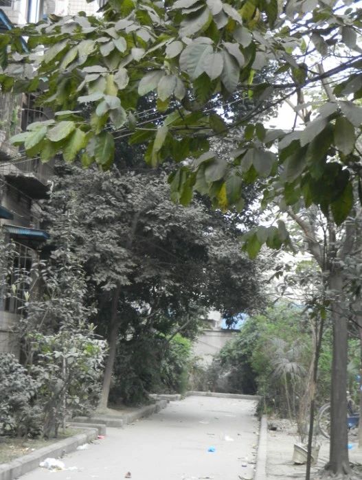 小区相关图