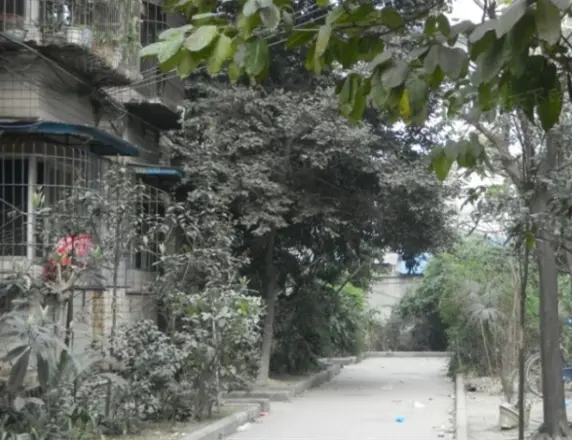 双顺路4号院实景图