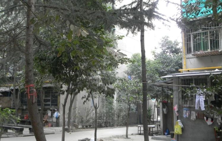小区相关图