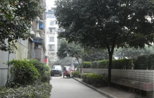 锦欣苑 1室1厅 南