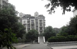 锦欣苑1室1厅南