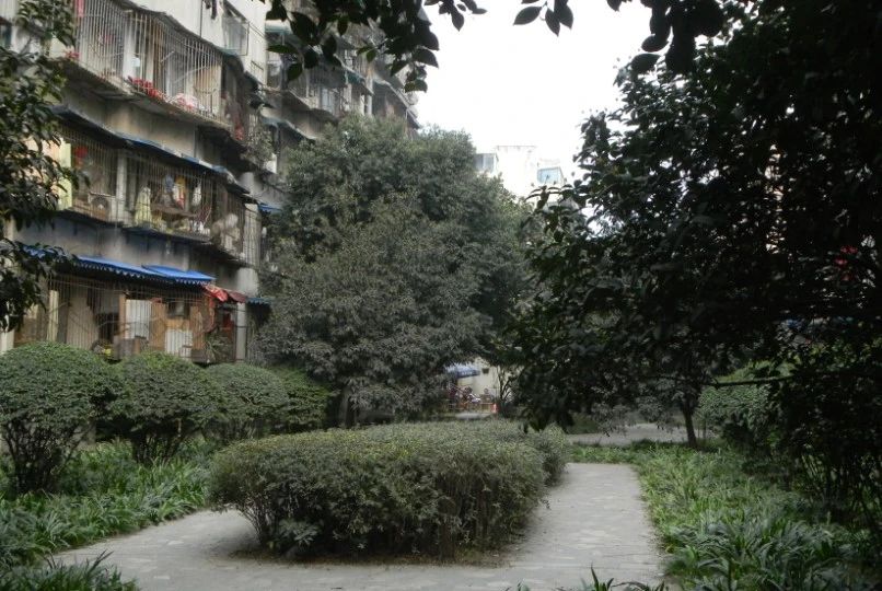 738万购青羊区全新精装套二读青羊赠送屋顶花园