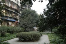 锦欣苑 2室1厅 东南