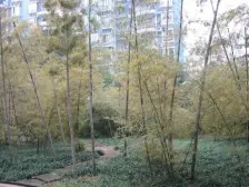 户型方正业主诚意出售价格可刀