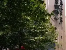 天奇广场 步行街上两室出售 住家安静