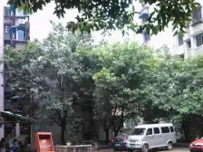 老城区 碚峡西路二房32.9万